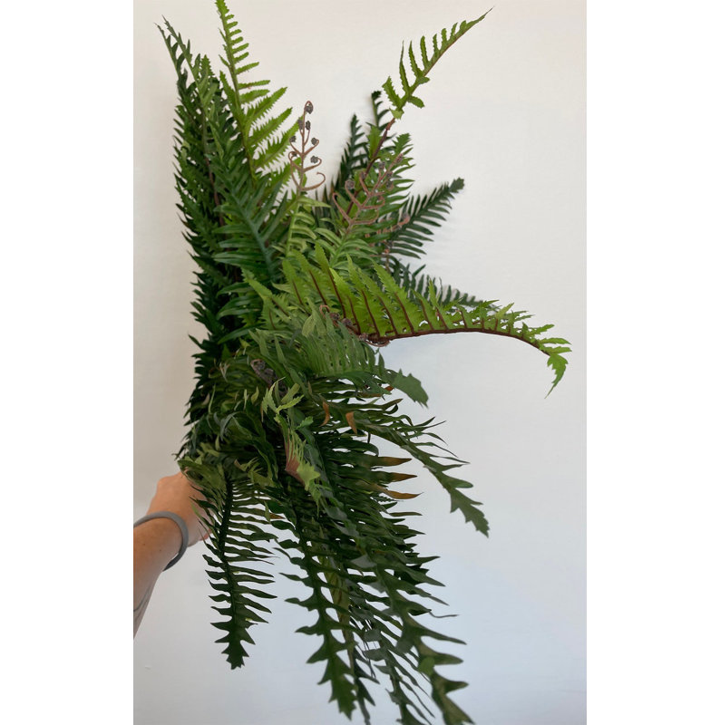 Silk Fern Arrangement