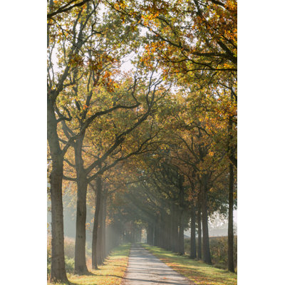 Road with Trees - Photographie sur toile tendue