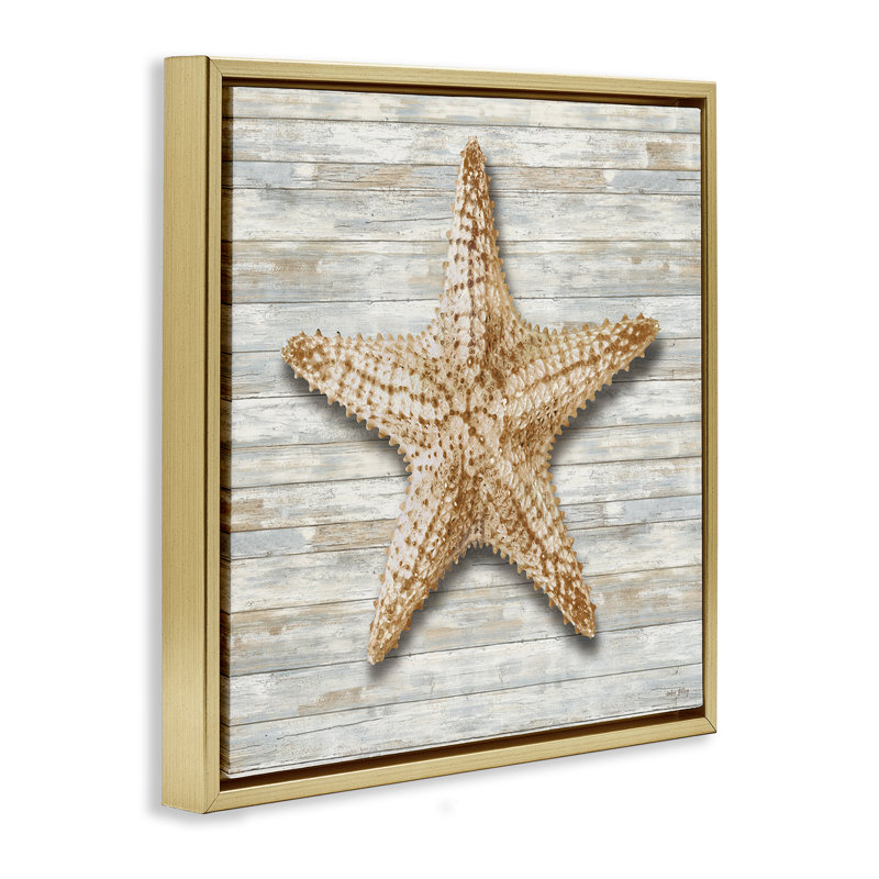 Étoile de mer sur cadre flottant Shiplap, design par Amber Sterling, H 18 po x l 18 po, Cadre flottant métallique doré