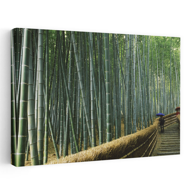 Passerelle en escalier passant à travers une forêt de bambous, préfet de Arashiyama, région de Kval, Honshu, Japon