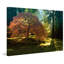 «In The Gentle Autumn Light» par Don Schwartz, reproduction d'art sur toile tendue-15924000