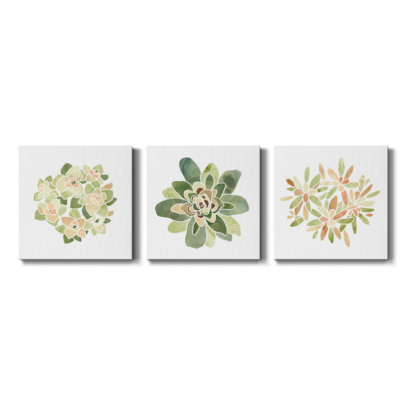 «Succulent Cameo», ensemble de 3 toiles tendues, H 24 po x l 72 po x P 1 po