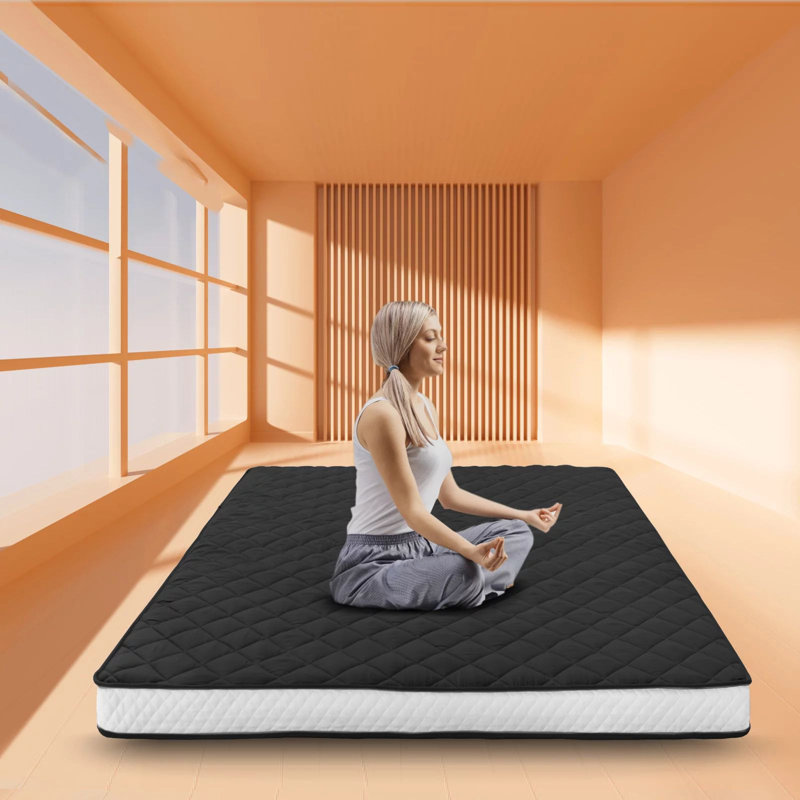 Gracinha 4" Cotton Full Size Futon Mattress, Queen, Black