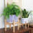 Tierney Ceramic Pot Planter-914438079