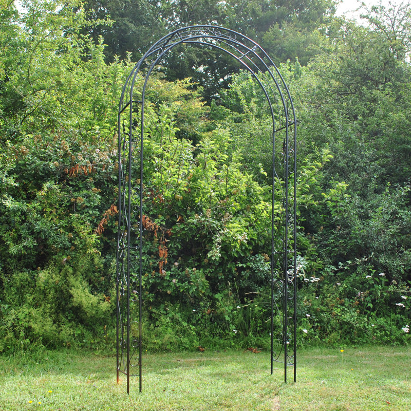 Adolfo 120cm W x 30cm D Metal Arbour with Gate in Black