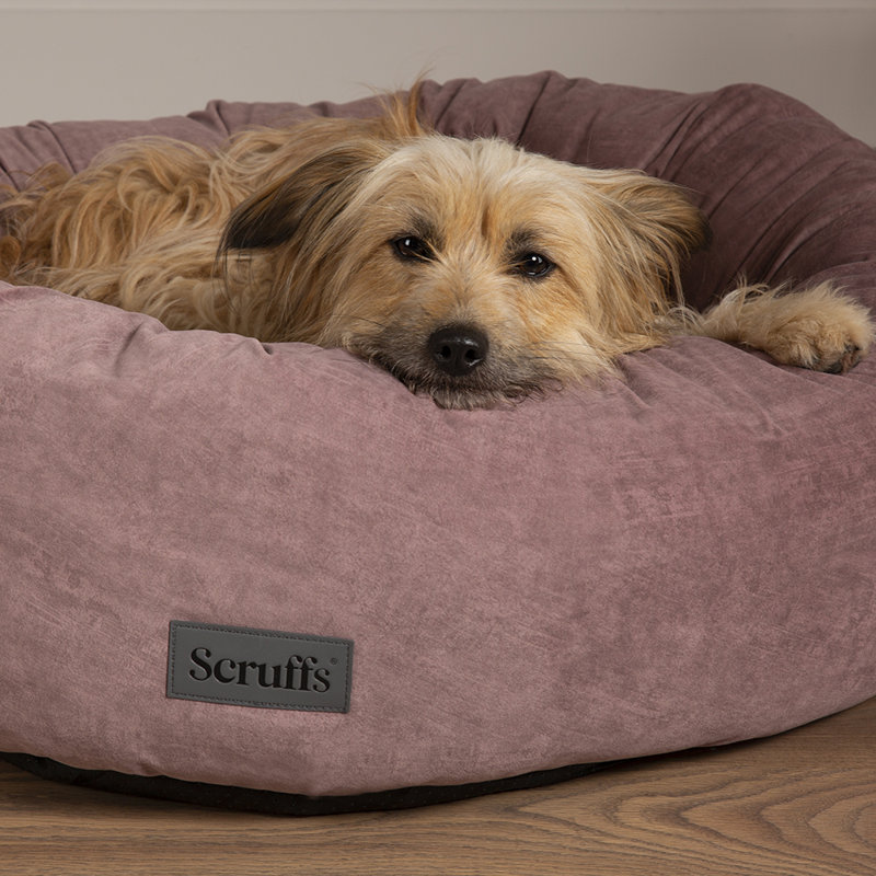Polyester Pet Bed, Extra Large (32-40kg), Pink