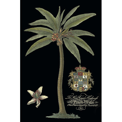 Palm On Black I - Wrapped Canvas Print