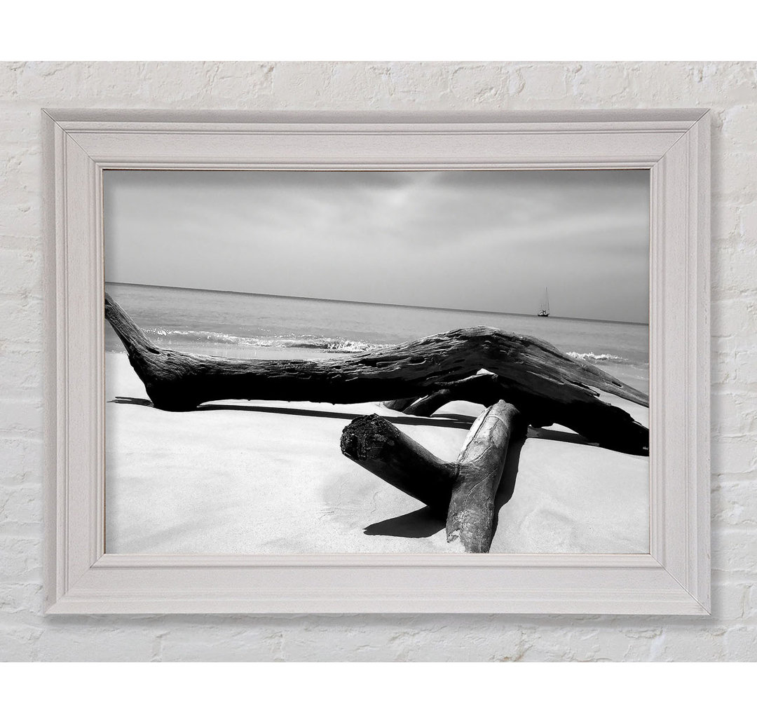 Gerahmtes Leinwandbild Ocean Drift Wood On The Shore B N W