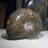 Aloisa Landscape & Nature Crystal