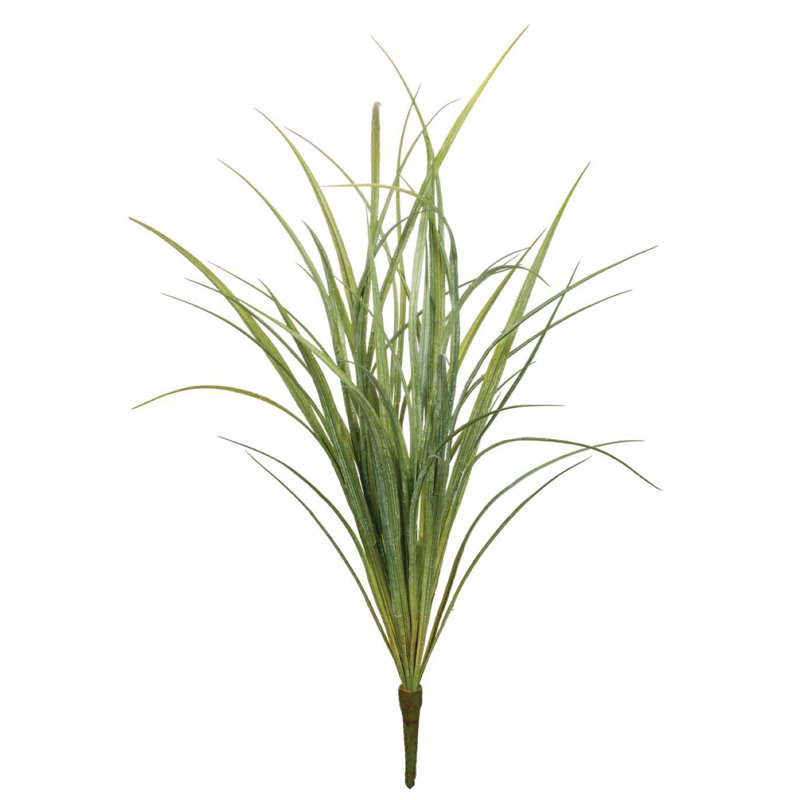 Herbe