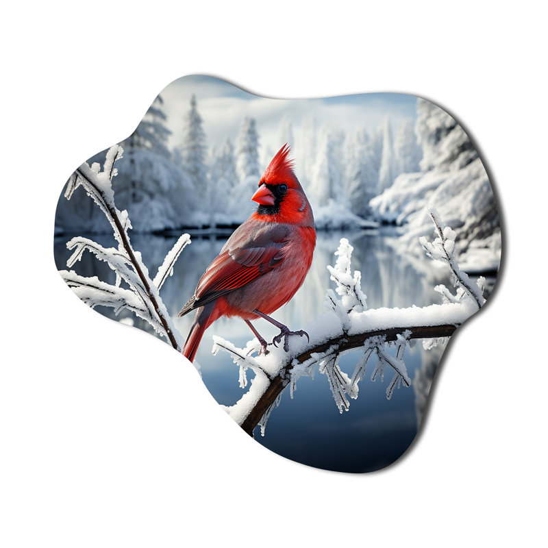 Canada, Canada, oiseau rouge, Winter Wonderland V - art mural en métal Canada nuage, H 22 po x l 30 po