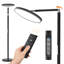 Daschel 155cm Arched Floor Lamp