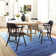 Amrutha Washable Ombre Indoor Rug