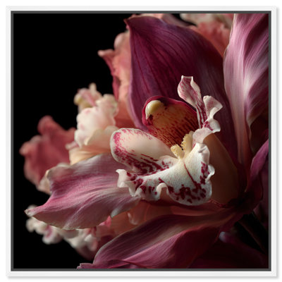 Velvet Labellum Graphic Art Canvas