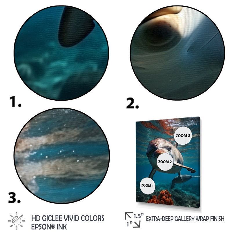 «Dolphin Serene Swim I» sur toile, Cadre flottant blanc, H 20 po x l 12 po x P 1 po