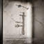 Statement Single-Function Iconic Handshower-585579135