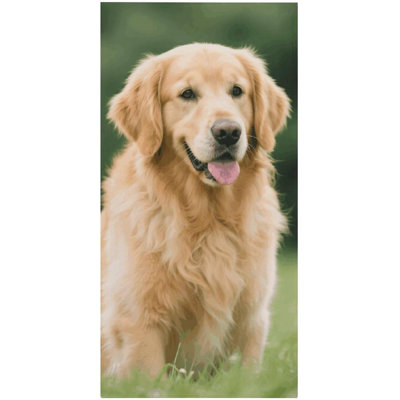 Serviette de plage en microfibre à séchage rapide Golden Retriever, 30 x 60 po