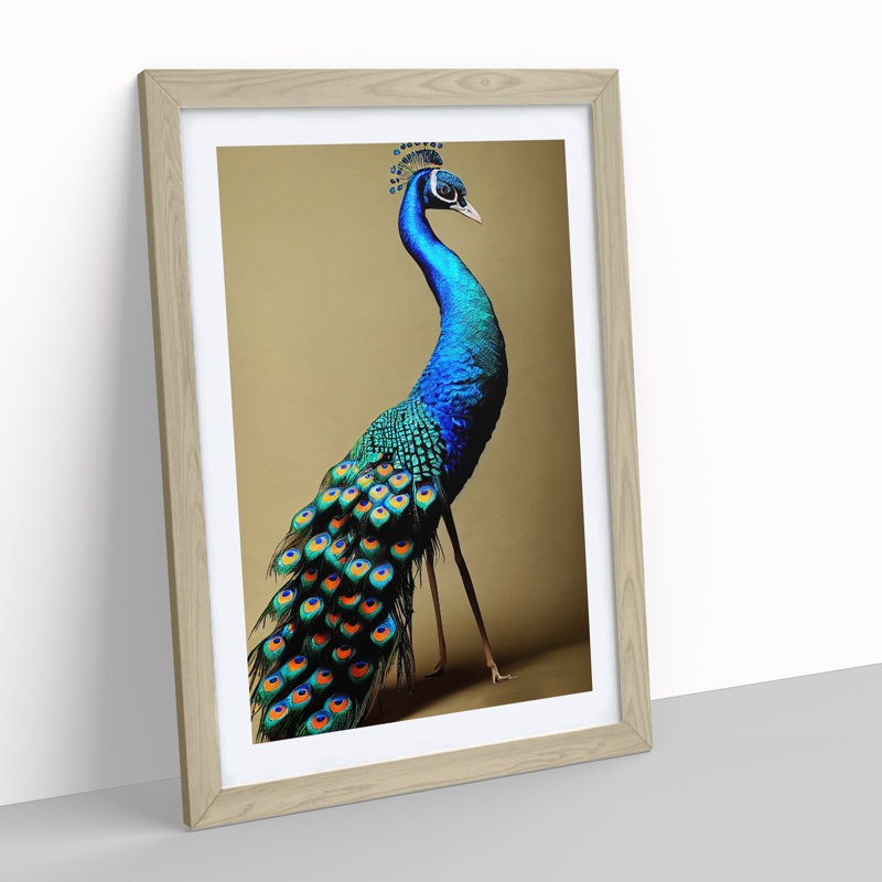 Stunning Peacock - Single Picture Frame Print, 64cm H x 46cm W x 2cm D, Oak Framed