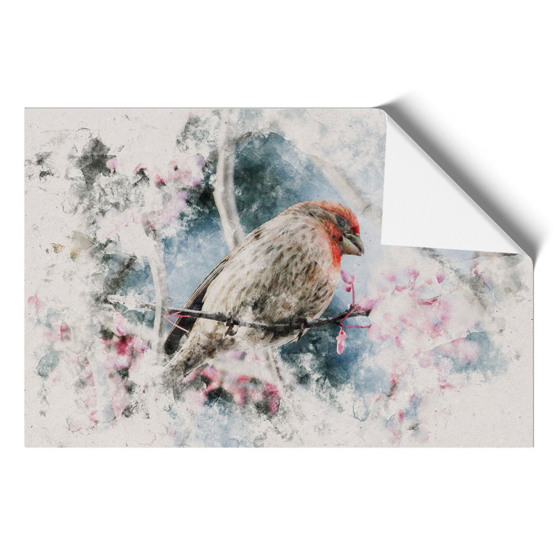 A House Finch Bird Watercolour - Frameless Print, 30cm H x 42cm W x 0.1cm D