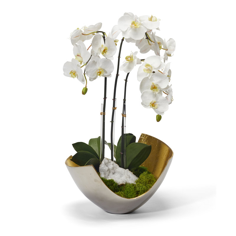 Orchids Floral Arrangement in Vase