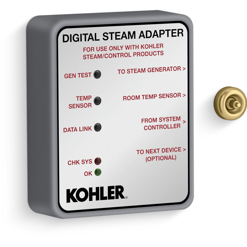 Invigoration® Series Digital Steam Adapter, Brushed Brass
