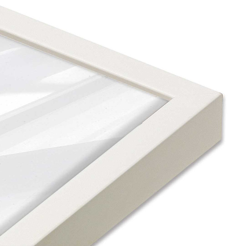 Reproduction d'une plante d'intérieur suspendue par Ashley Justice, L 20 po x H 20 po, Blanc, Impression encadrée