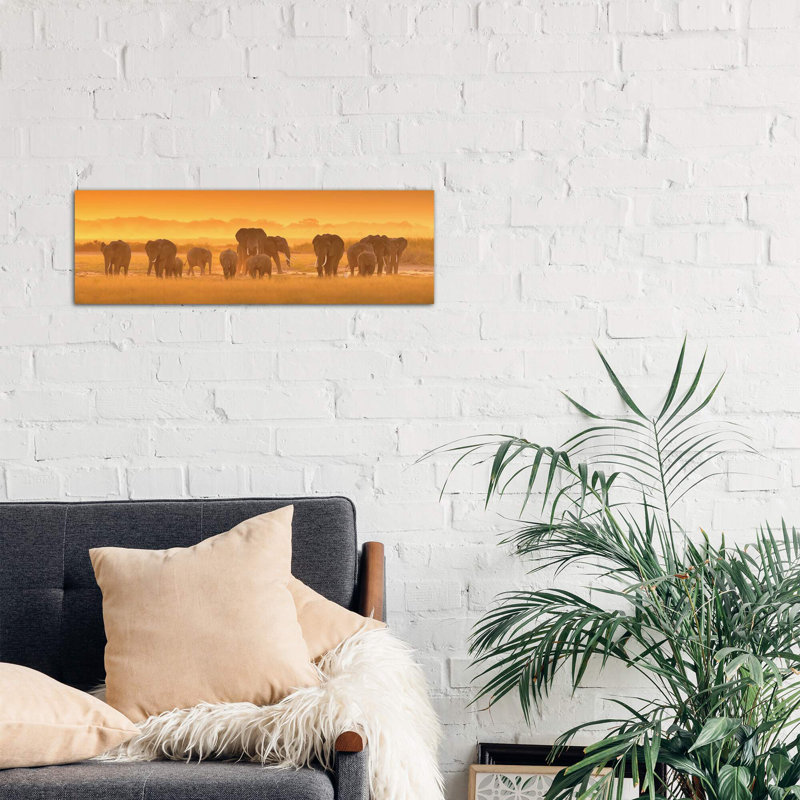 Golden Light by David Hua - Wrapped Canvas Panoramic Print, 30.48 cm H x 91.44 cm W x 3.175 cm D