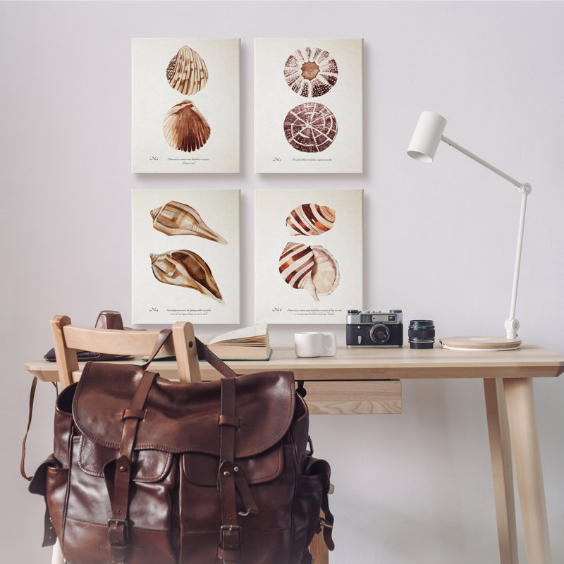 Elegant Beach Seashells Exquise Marine Life4pc Annie Warren, Plaque murale, H 16 po x l 20 po