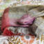 Fontaine Mohair Throw-63388812