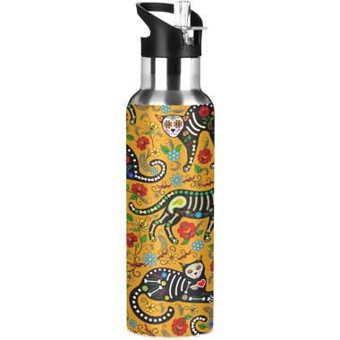 WD Lifestyle 16.9oz. Insulated Stainless Steel Water Bottle WD Lifestyle