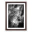 Bright Eyed Leopard in Abstract - Picture Frame Painting Print-55679131-55679136