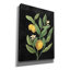 Red Barrel Studio «Classic Citrus V Black No Words» par Sue Schlabach, estampe numérique sur toile-520694025