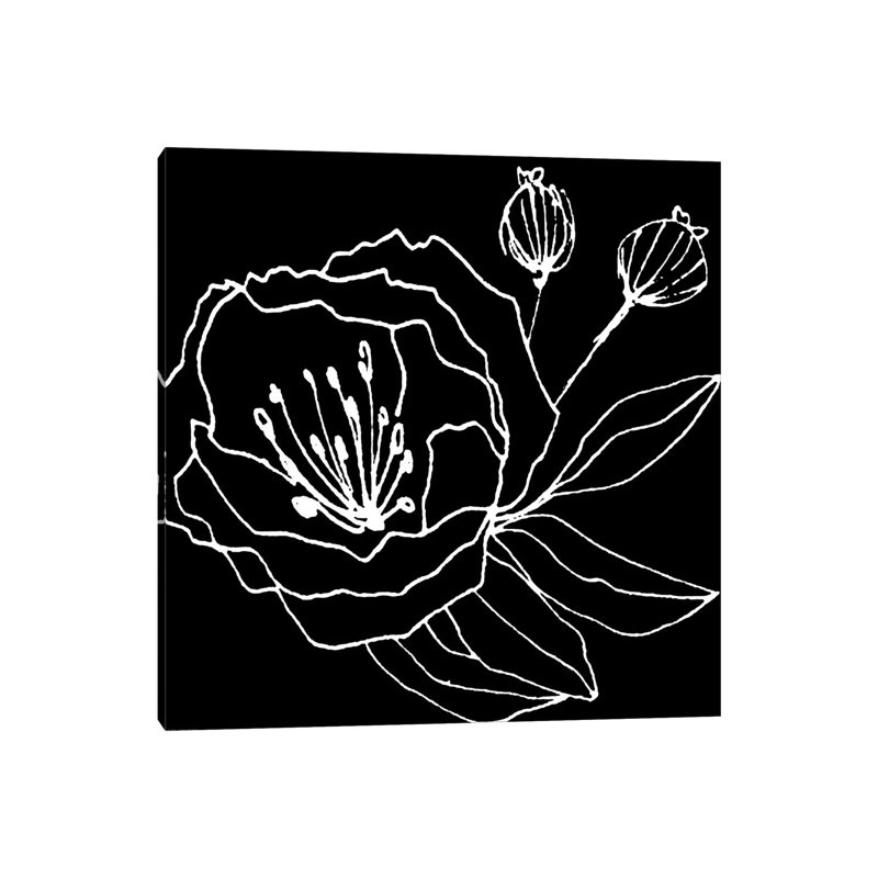 Gera Black by Art Mirano - Wrapped Canvas Print, 45.72 cm H x 45.72 cm W