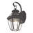 Alexavier Wall Light-594090469