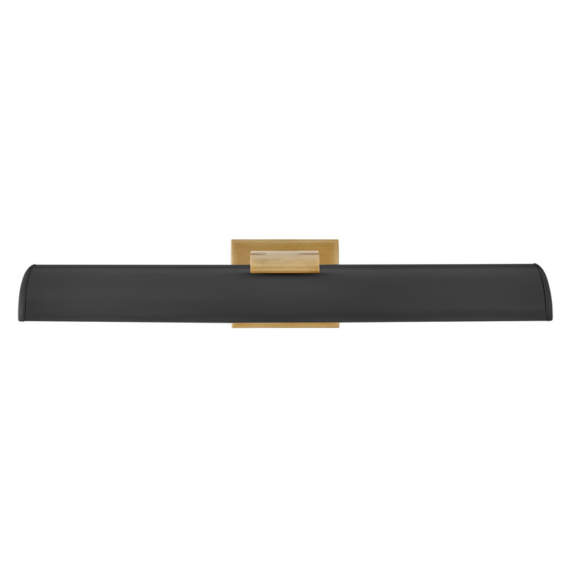Hinkley Alston Medium Adjustable Led Accent Light, Black