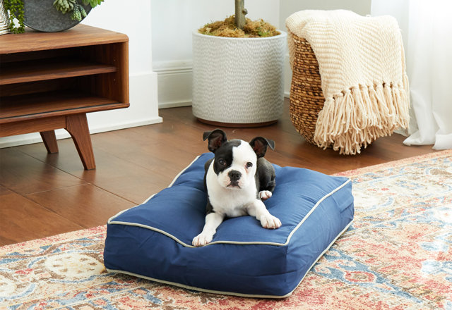 Best-Selling Dog Beds