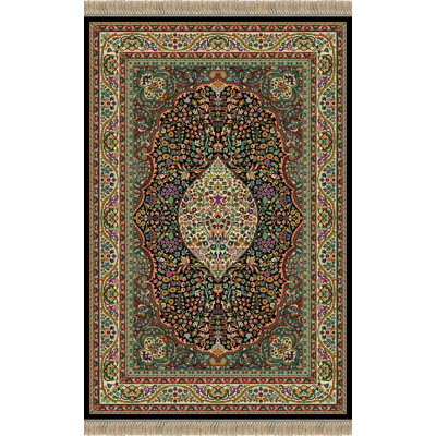 Oriental Wool Area Rug