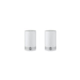 Regency Salt & Pepper Shaker Set