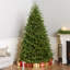 Princeton Fraser PowerConnect 90" Green Fir Artificial Christmas Tree with 800 Clear/White Lights and Stand-1695465519