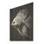 Poisson-papillon océanique noir et blanc I - Poisson papillon sur bois-631222228