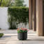 Grand pot / pot rond en béton avec trous de drainage-621437562-625424703
