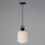 Luminaire suspendu 1 lumière Bayley