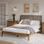 Bethelmie Solid Wood Upholstered Headboard Bed Frame-97285328-107443382