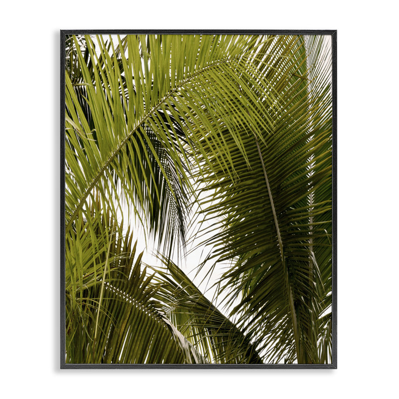 Giclée encadrée, détails de palmier en couches, design par Natalie Carpentieri, H 14 po x l 11 po