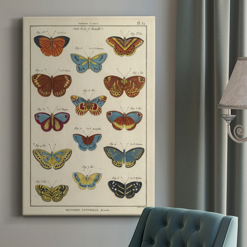 Histoire Naturelle Butterflies I - peinture sur toile tendue, H 18 po x l 12 po x P 1,5 po