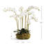 Arrangement d'orchidées-419334926