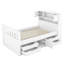 Lit plateforme simple de taille simple avec bibliothèques de rangement, tablettes et 4 tiroirs, structure en bois de pin massif, aucun sommier nécessaire