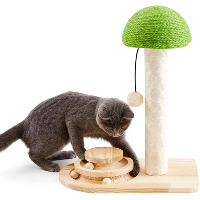  Poteau à griffer pour chat, griffoir à champignon avec cordes en sisal, boule de jeu interactive pour petits chatons, griffoir en bois 2-en-1 avec boule en peluche suspendue 20 pouces vert