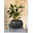 Latitude Run® Black Terrarock Artisan Bowl, Durable Indoor/Outdoor Plant Pot, Rustic Texture For Succulents, Cactus, Gardens, Patios, Home, And Office Decor, 11" Diameter & 8" Tall