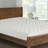 Frostley 1'' Mattress Pad-1234932628